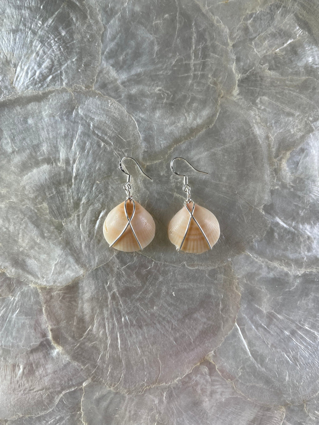 Seashell Wrap Earrings